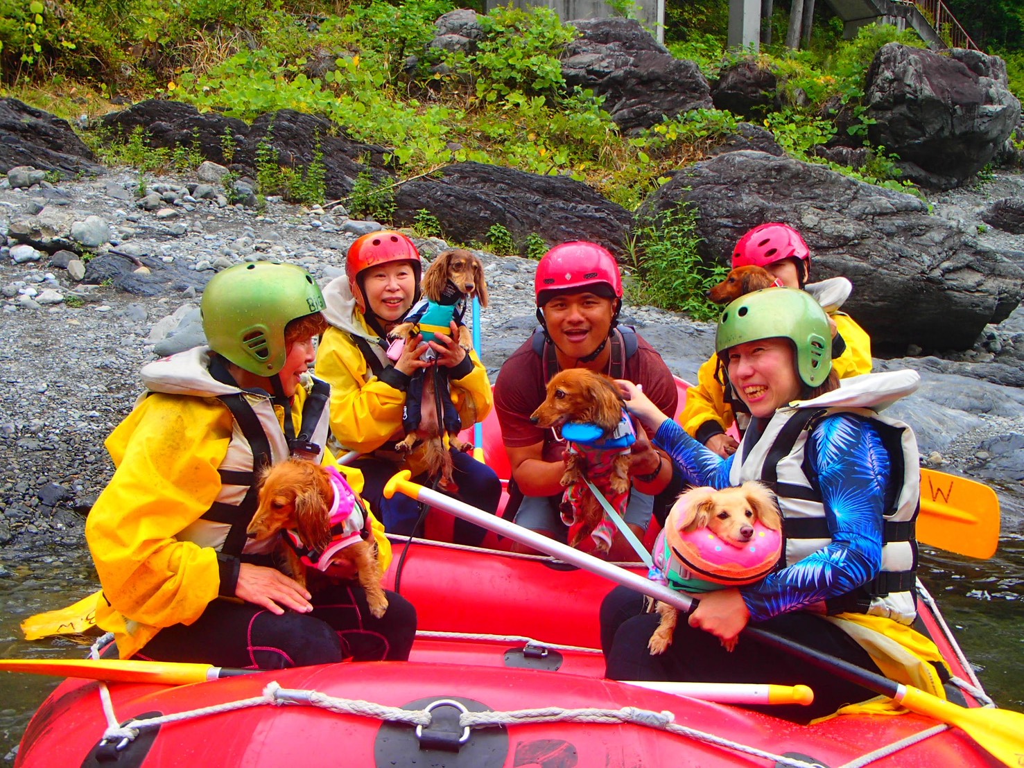 DOG Rafting